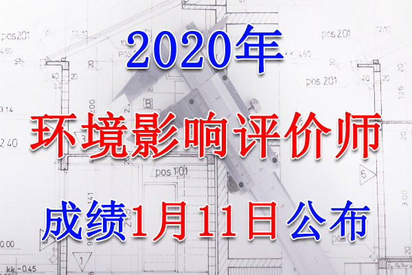 2020年黑龙江环境影响评价师考试成绩查询查分入口【1月11日开通】