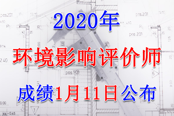 2020年宁夏环境影响评价师考试成绩查询查分入口【1月11日开通】