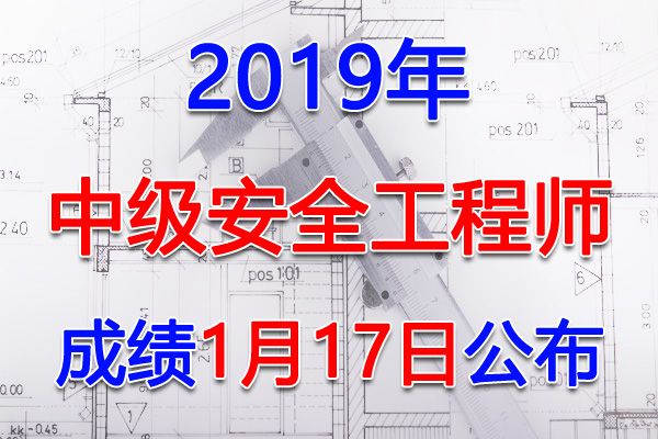 2019年广东中级注册安全工程师成绩查询查分入口【1月17日开通】