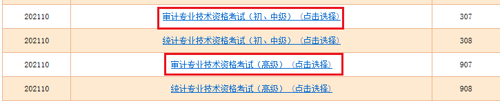 2021年河北审计师准考证打印入口已开通（9月26日至10月10日）