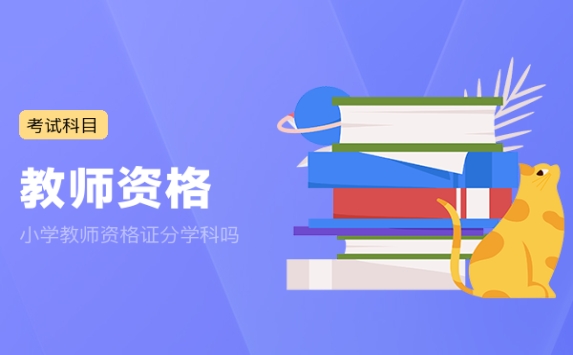 小学教师资格证分学科吗