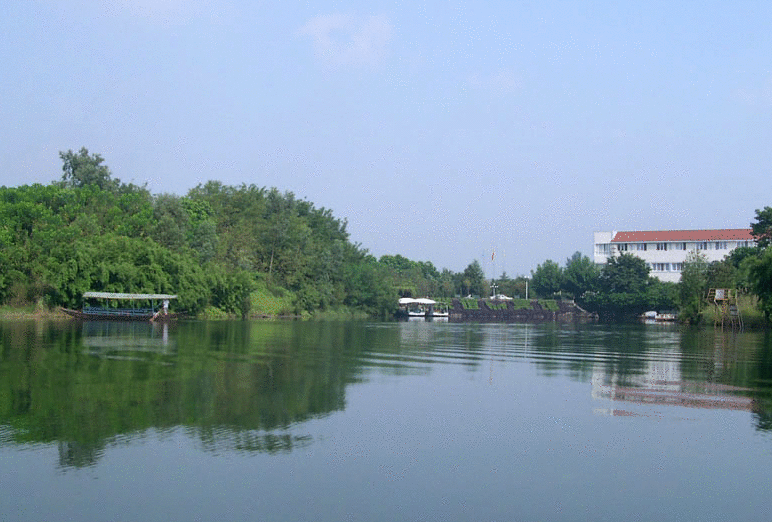 河北省委副书记：把白洋淀打造成为生态公园